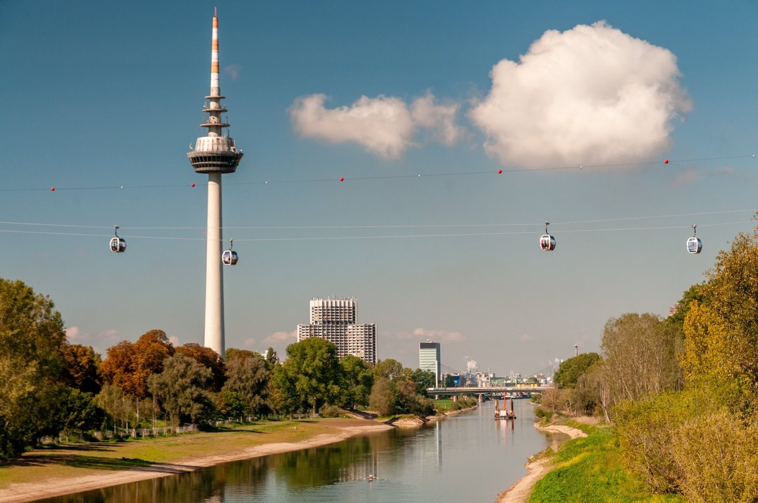 Blick auf Mannheim