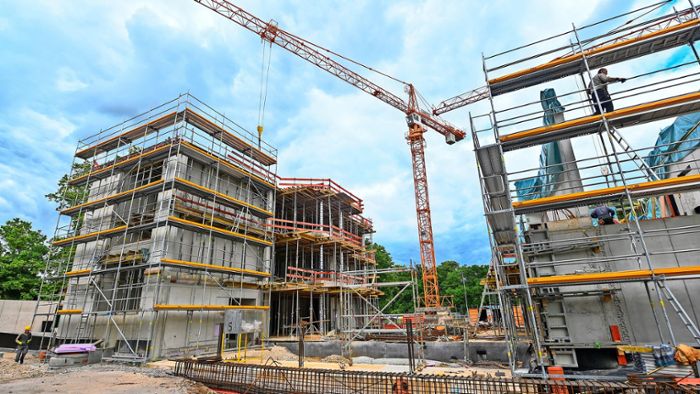 Zollberg-Realschule in Esslingen: Ein Klimagarten für die Schule: Wie die Stadt den Außenbereich modernisiert