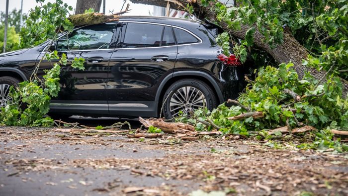 Unwetter: Nach Sturm-Chaos: Bahn-Verkehr in Berlin läuft wieder an