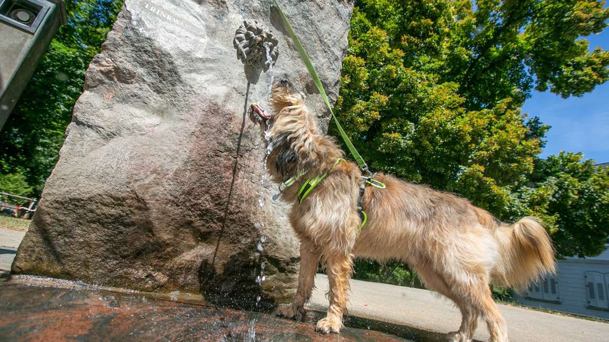Klimarat warnt: Esslingen droht CO₂-Budget zu überschreiten: Besteht Handlungsbedarf? - Esslingen