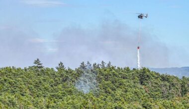 Notfälle: Waldbrand nahe Nürnberg - Wohnheim vorsorglich evakuiert - Region