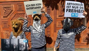 Zoo in Stuttgart: Tierschützer demonstrieren vor Wilhelma: „Zoos töten gesunde Tiere“