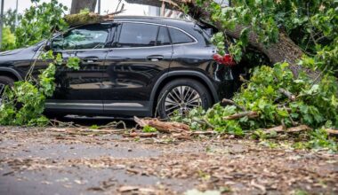 Unwetter: Nach Sturm-Chaos: Bahn-Verkehr in Berlin läuft wieder an
