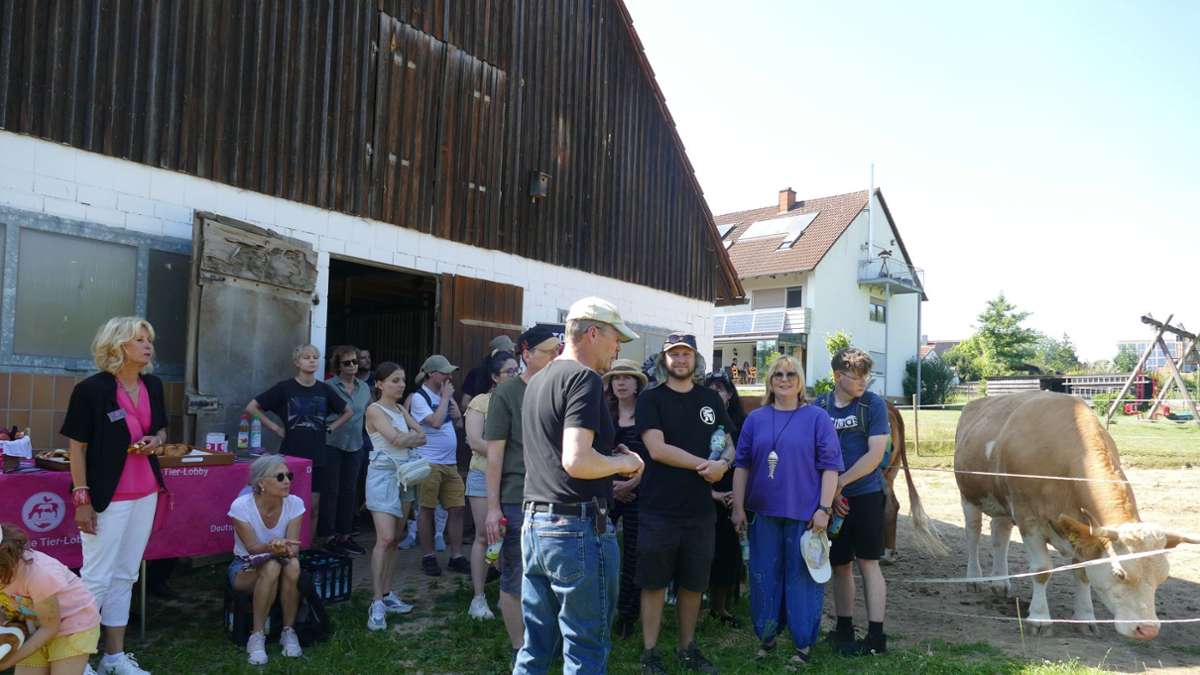 Tier-Lobby kämpft: Noch eine Million Kühe in Anbindehaltung - Pegnitz