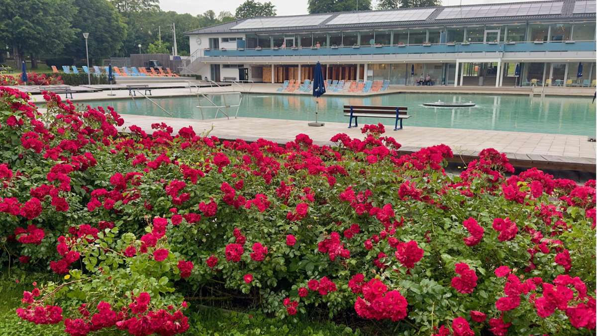 Mineralbad Berg: Die schönste Rosenhecke Stuttgarts