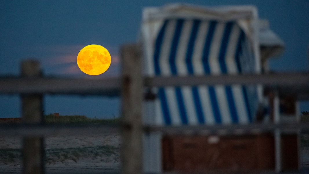 Warum der "Erdbeermond" eher nach Aprikose aussah | NDR.de - Nachrichten