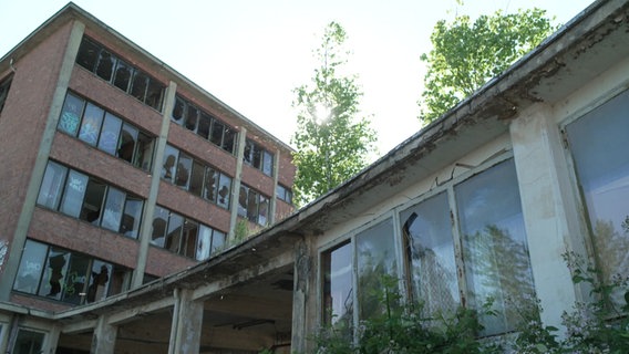 Aus dem ehemaligen Vorwärtsgelände in der Schweriner Weststadt soll ein Schaudepot, also eine Kunstausstellung werden. © NDR Nordmagazin Foto: NDR/ Andreas Lussky