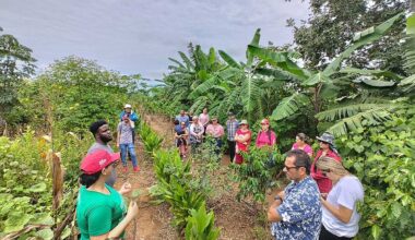 Einladung zum Workshop: Nachhaltige Kosmetik mit natürlichen Wirkstoffen aus brasilianischen Pflanzen - blickfeld