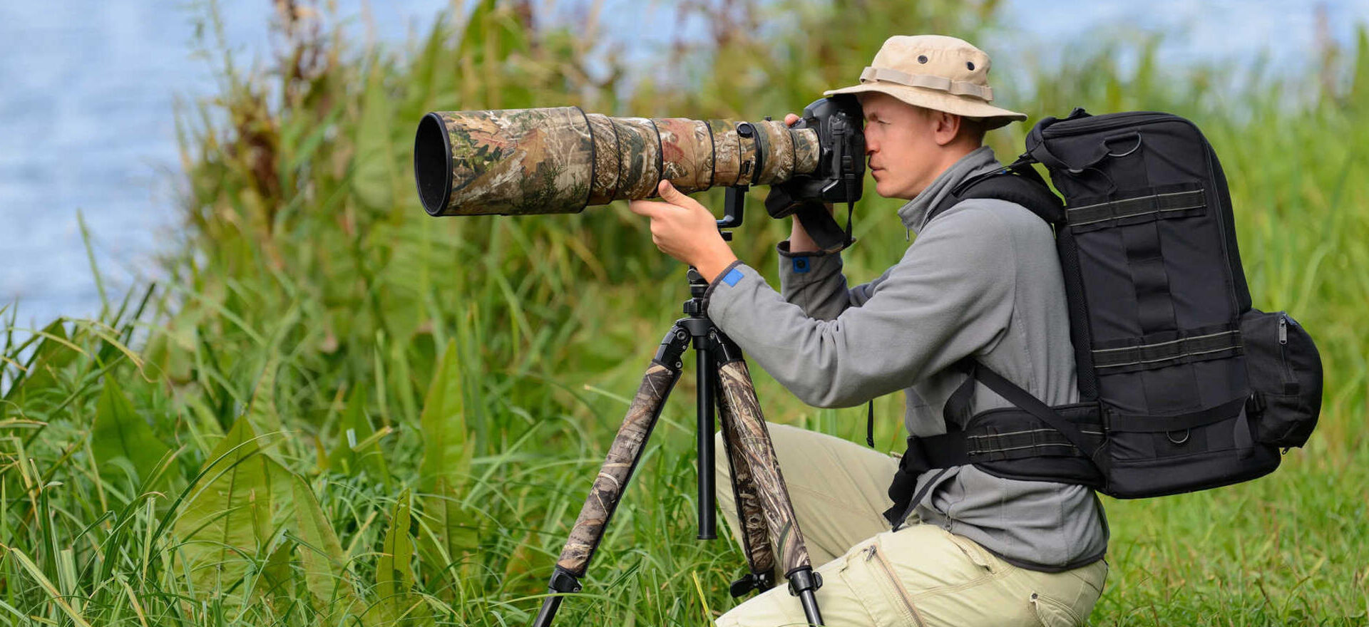 Wildtiere in Gefahr: Problematische Trends in der Fotografie