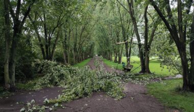Zwei vermisste Kinder in Leipzig wiedergefunden und Unwetter über Sachsen · Leipziger Zeitung