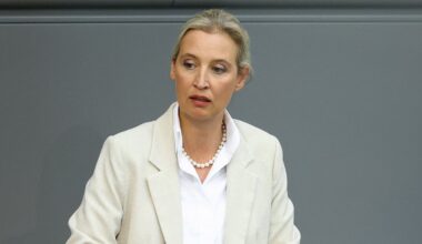 Medienbericht: Alice Weidel nutzt umstrittenen Paragrafen 188