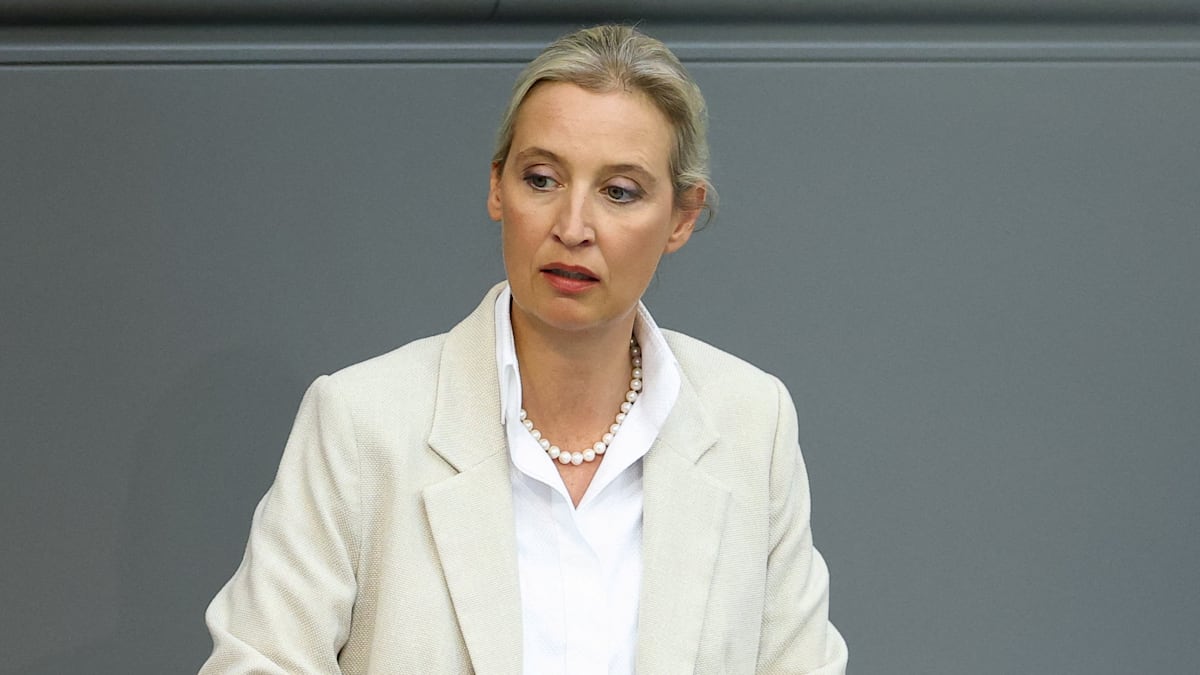 Medienbericht: Alice Weidel nutzt umstrittenen Paragrafen 188