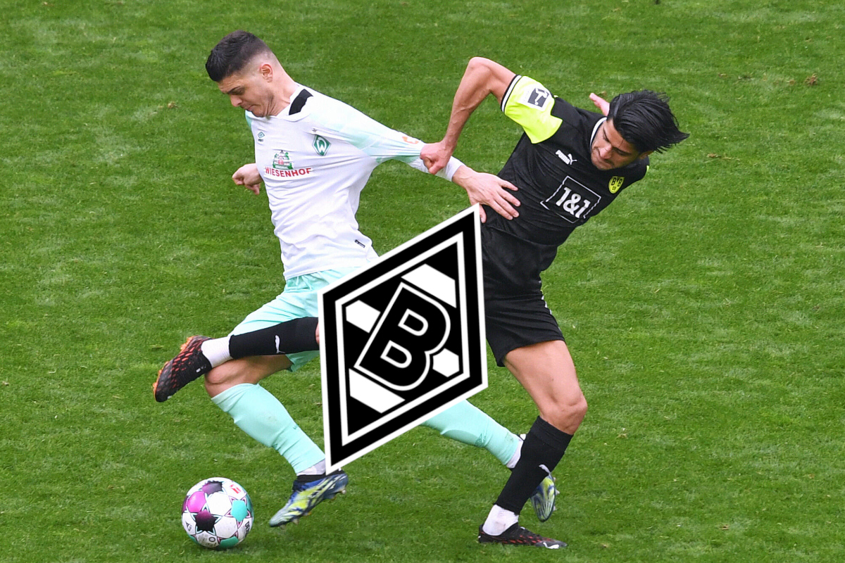 Borussia Mönchengladbach buhlt um Ex-Bundesliga-Star! Wird ER kommen?