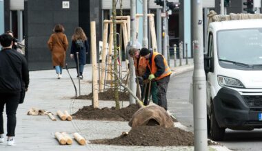 Berlin: Vor Klausurtagung in Nauen: Grüne wollen deutlich mehr Stadtbäume in Berlin pflanzen