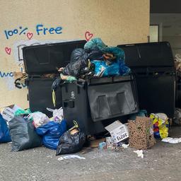 Müll stapelt sich am Mehringplatz in Berlin. (Quelle: dpa/Lea Matschulat)