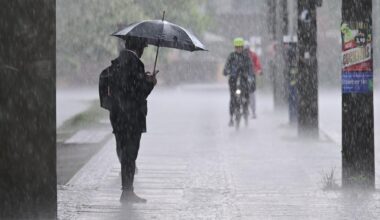 Brandenburg Berlin: Wetter am Pfingstsonntag: Sturmböen lassen Bäume umstürzen - S-Bahn fährt gegen Ast