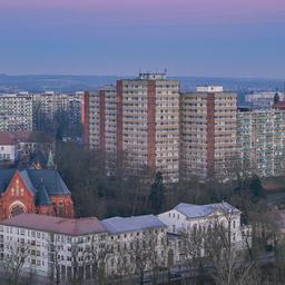 Die Stadt Frankfurt (Oder) am 09.02.2023 (Quelle: dpa/Patrick Pleul)