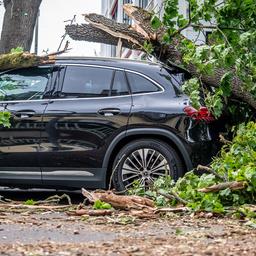 Ein vom Sturm abgebrochener Baum liegt auf einem Auto in der Trabener Straße im Westen von Berlin am 26.06.2025. (Quelle: picture alliance/dpa/Michael Kappeler)