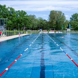 Symbolbild: Wassersportler schwimmen bei sonnigem Wetter im Sommerbad Wilmersdorf. (Quelle: dpa/Monika Skolimowska)