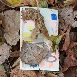 Symbolbild: Ein Fünftzig-Euro-Schein liegt teilweise mit Laub bedeckt auf dem laubbedeckten Boden. (Quelle: imago images/chromorange)