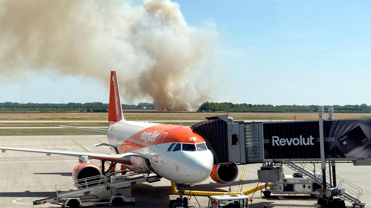 Brandenburg Berlin: Dichter Rauch bei Schönefeld: Getreidefeld am Flughafen BER steht in Flammen
