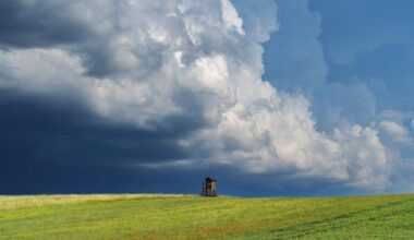 Brandenburg Berlin: Wetter in Berlin und Brandenburg: Kaltfront bringt am Donnerstag neue Sturmböen und Gewitter