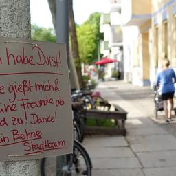 Schild Ich habe Durst haengt an einem Berliner Stadtbaum.  (Quelle: imago images)