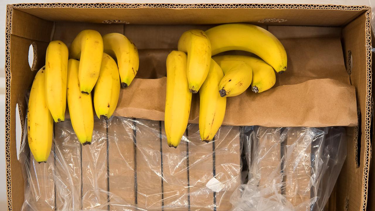 Brandenburg Berlin: Polizei findet Hunderte Kilo Drogen in Bananenkisten in Supermärkten