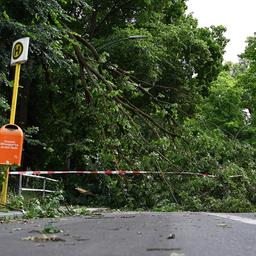 Nach den schweren Unwettern in Teilen Deutschlands ist auch am Tegeler Forst noch ein Bereich einer Straße wegen abgebrochener Äste abgesperrt am 27.06.2025. (Quelle: picture alliance/dpa/Michael Brandt)