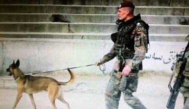 Einsatzveteran kämpft für Anerkennung traumatisierter Soldaten