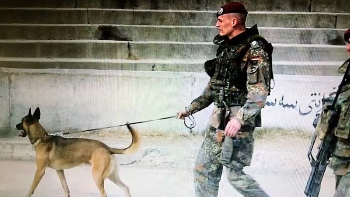 Einsatzveteran kämpft für Anerkennung traumatisierter Soldaten