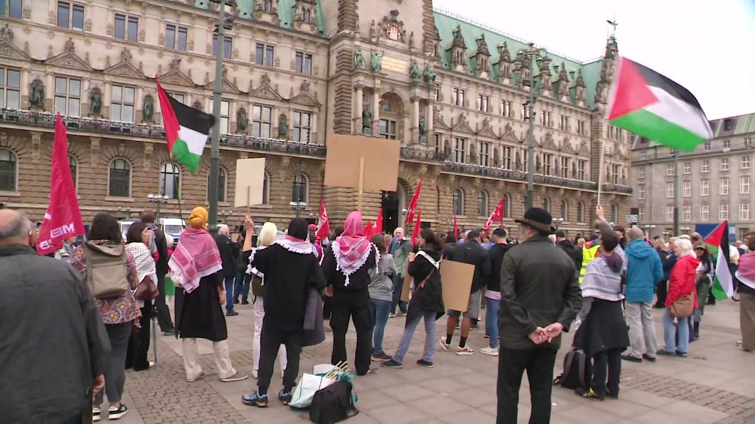 Rund 500 Menschen bei Hamburger Demo gegen den Krieg in Gaza | NDR.de - Nachrichten