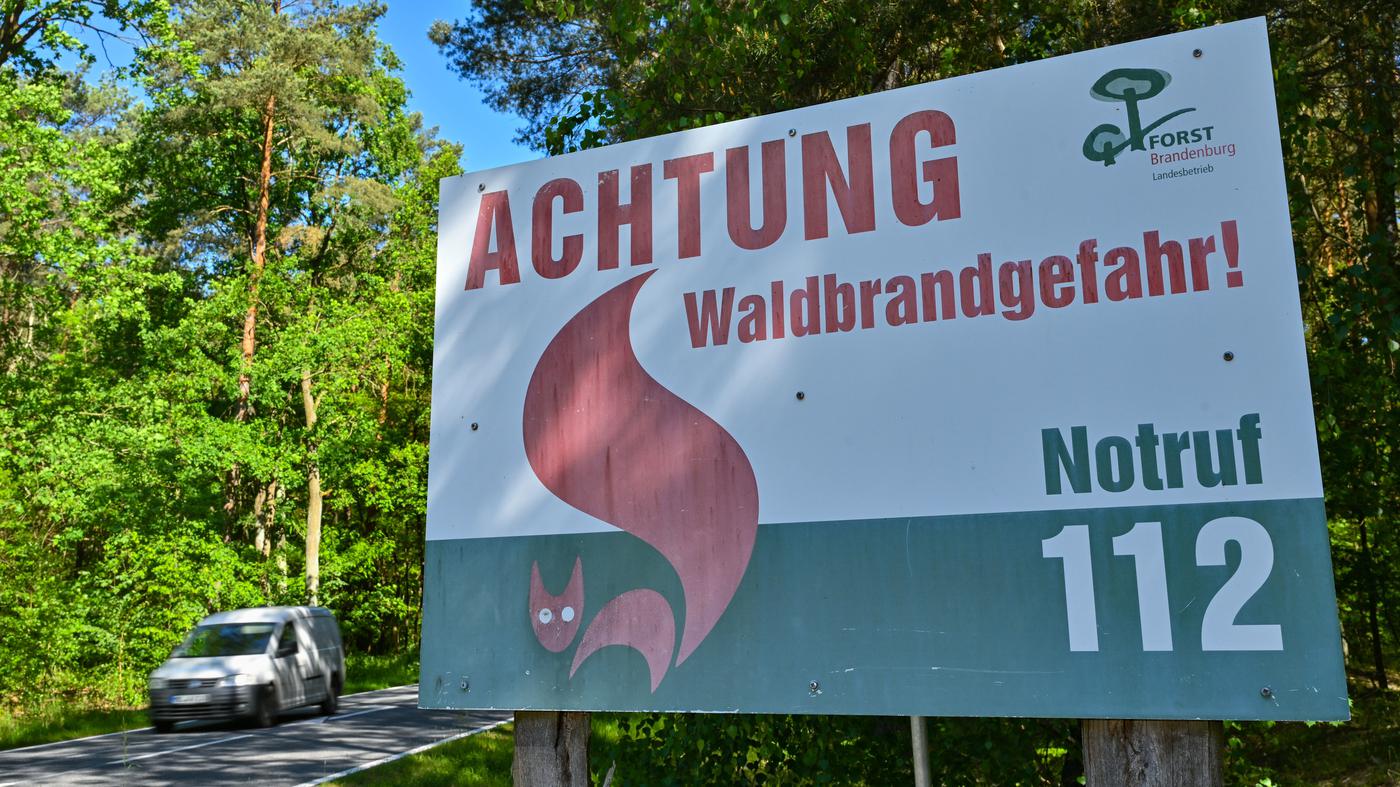 Seit März 125 Brände in Brandenburgs Wäldern