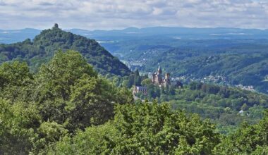 Königswinter: Fafnir ist wieder auf dem Drachenfels