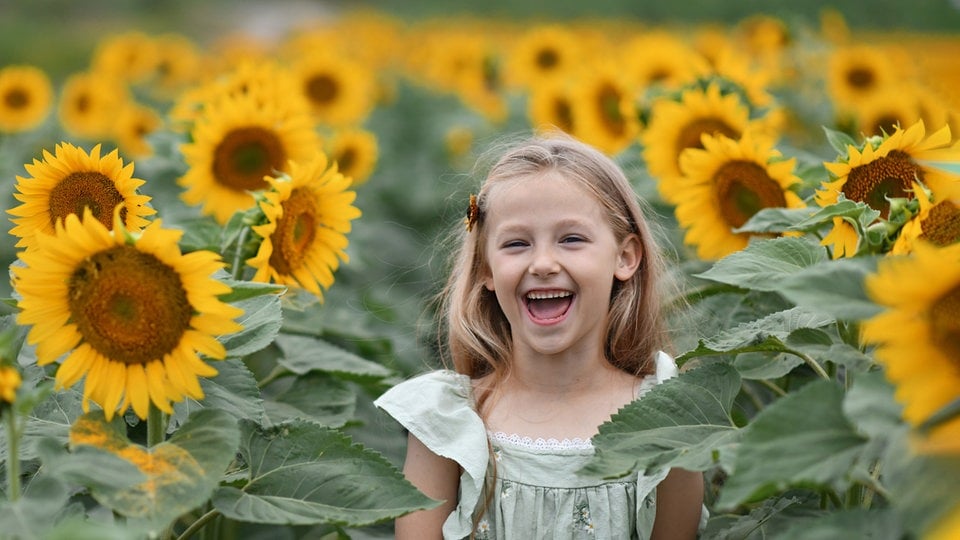 Sommerferien 2025 in Sachsen-Anhalt: Die schönsten Ferienangebote für Kinder in Halle, Magdeburg und Dessau