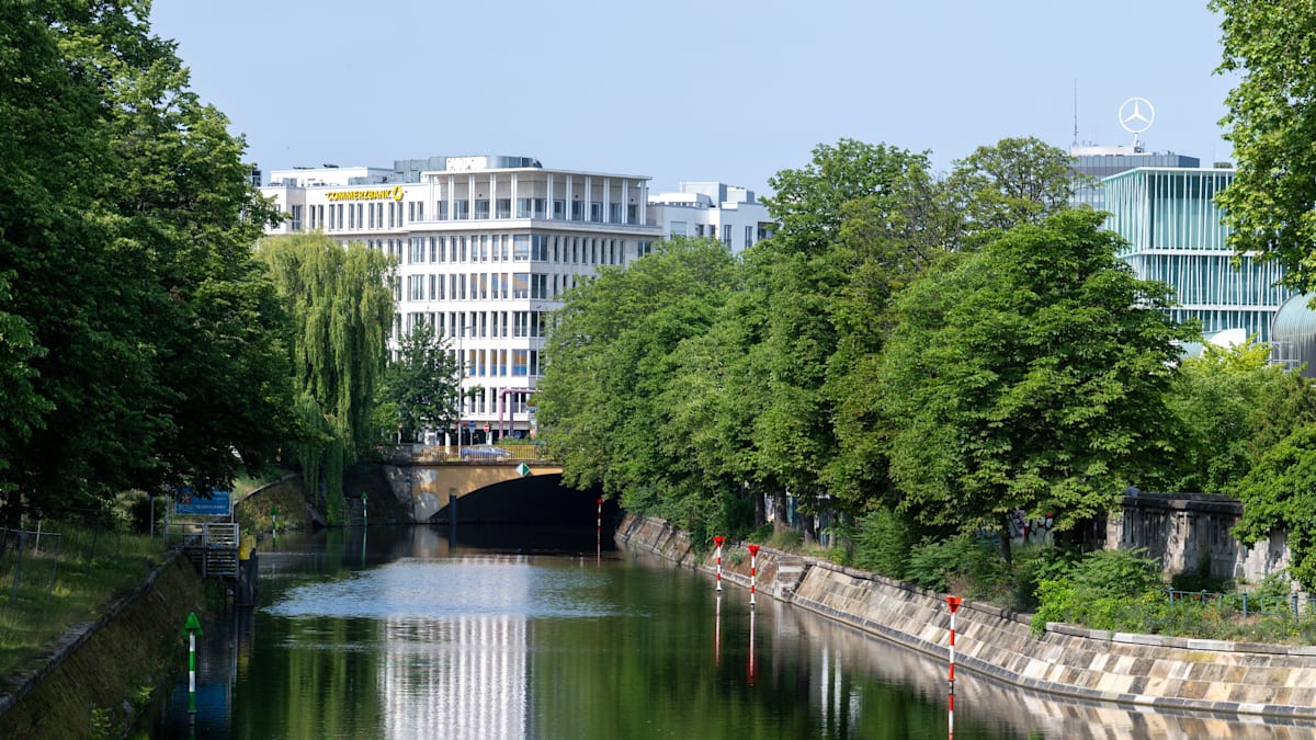 „Klima-Oasen“ in der Stadt: „Gemeinsame Vision“ – Grüne wollen eine Million Bäume für Berlin