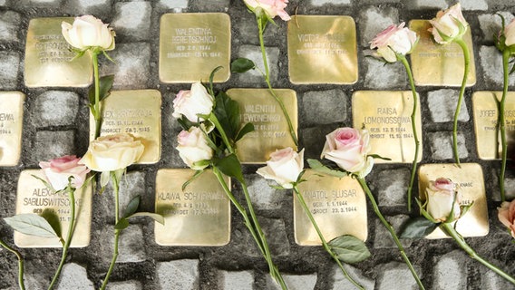 49 im Juni 2018 frisch verlegte "Stolpersteine" mit Rosen darauf im Hamburger Stadtteil Langenhorn. © dpa/picture alliance Foto: Ulrich Perrey