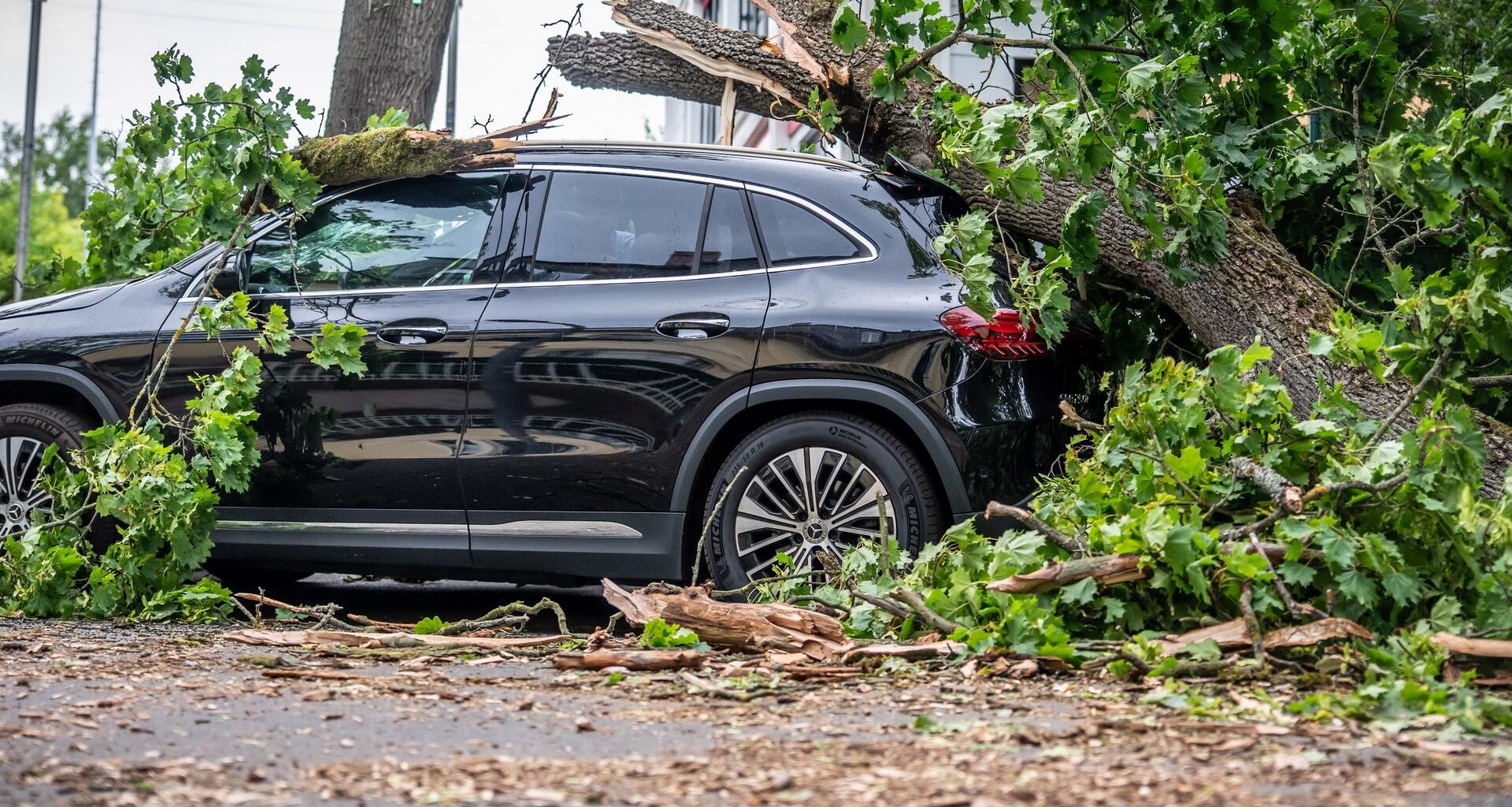 Ein vom Sturm abgebrochener Baum liegt auf einem Auto in der Trabener Straße im Westen von Berlin.