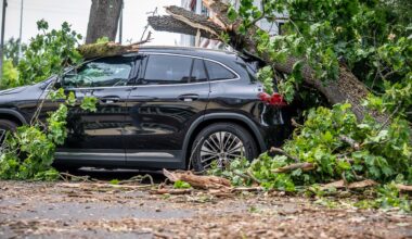 Ein vom Sturm abgebrochener Baum liegt auf einem Auto in der Trabener Straße im Westen von Berlin.
