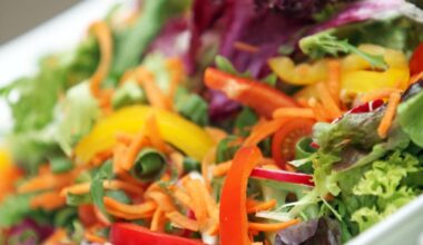 Baden-Württemberg: Zu viel vegetarisches Schulessen? Fall geht an Verwaltungsgerichtshof in Mannheim