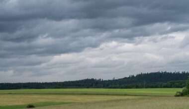 Baden-Württemberg: BW-Newsticker am Morgen: Starkes Unwetter in BW, Bahnstrecke Stuttgart-Mannheim wieder frei, Flugzeug muss wegen Unwetter zwischenlanden