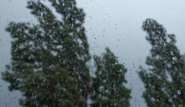 Einige Unwetter-Einsätze in Bornheim - Radio Bonn / Rhein-Sieg