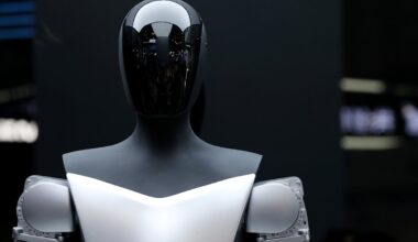 Elon Musk: Billionen oder absurde Visionen? Jetzt entscheidet sich die Tesla-Wette