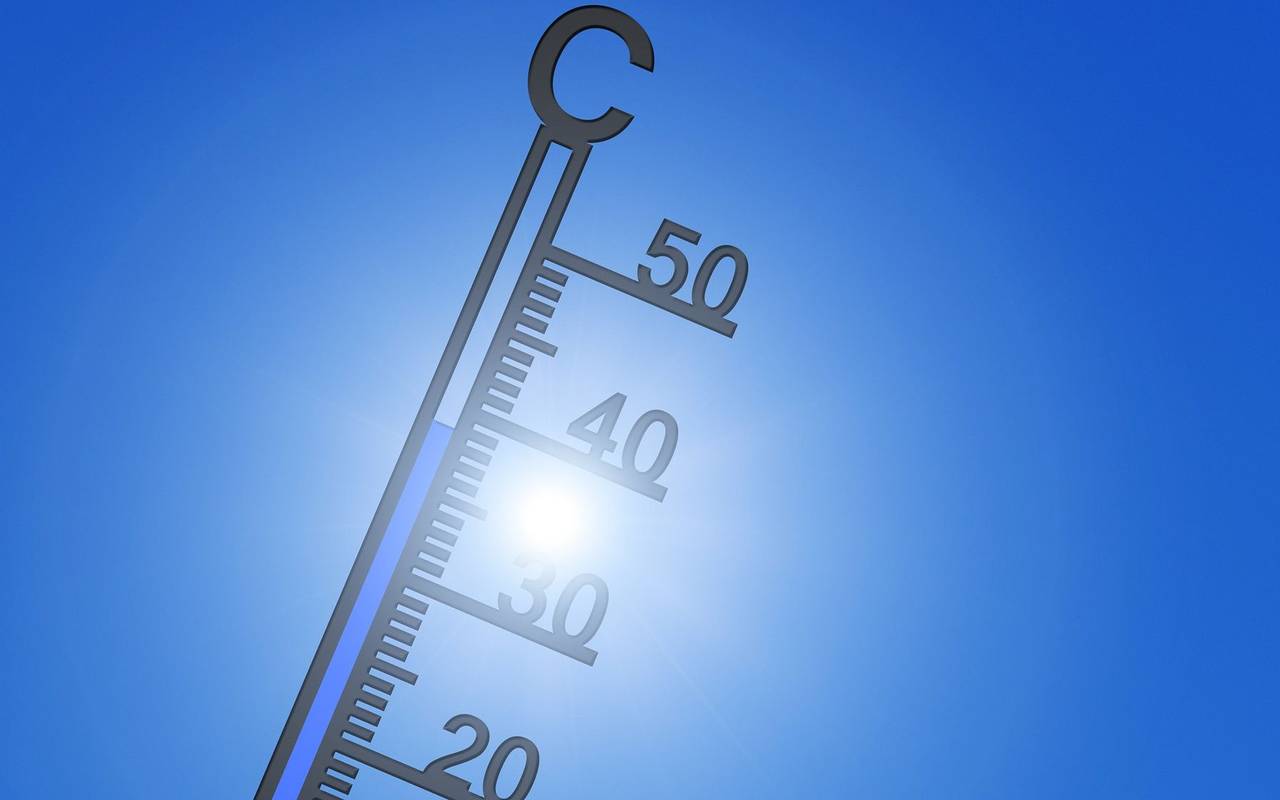 Thermometer mit 40 Grad