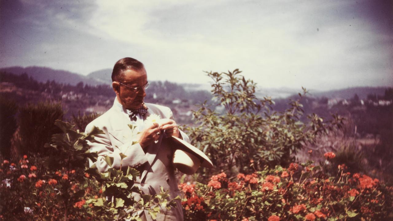 Warum Thomas Mann in Japan so populär ist