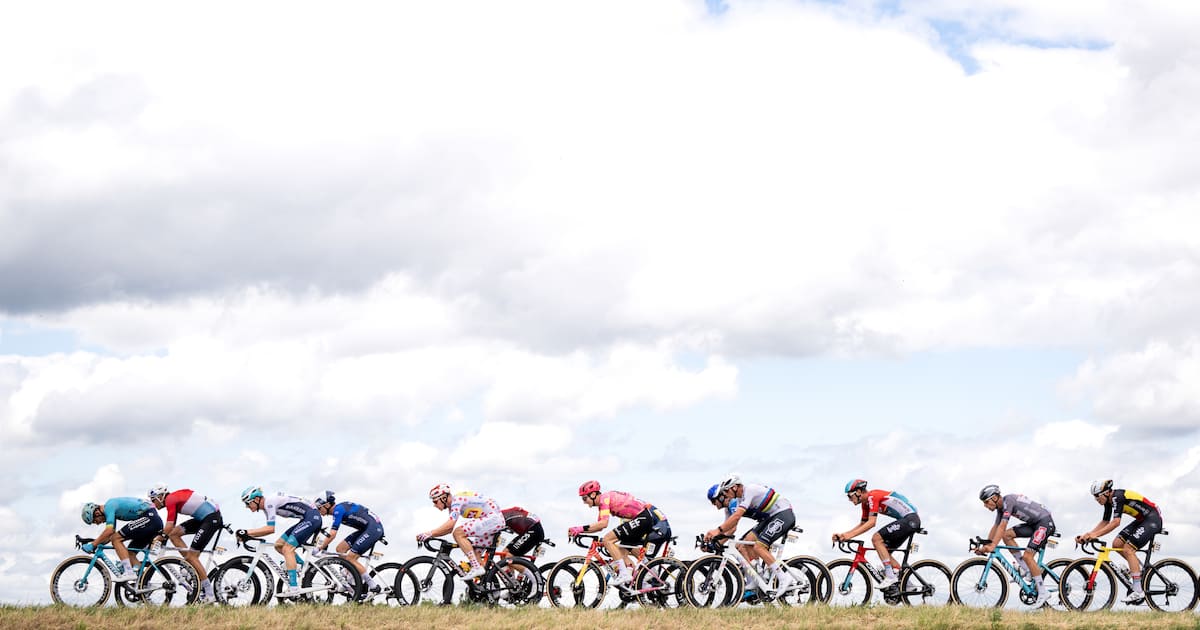 «The Old Guard 2», «Die Haiflüsterin», «The Sandman», «The Narrow Road to the Deep North», «Juror #2», «Tour de France – Im Hauptfeld» – die Streaming-Highlights der Woche 27/2025 - tele.ch