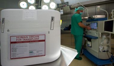 Neuer Anlauf für die Widerspruchslösung bei Organspenden
