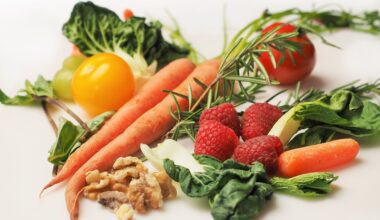 Wie gesund ist vegane Ernährung? So lautet die DGE-Empfehlung