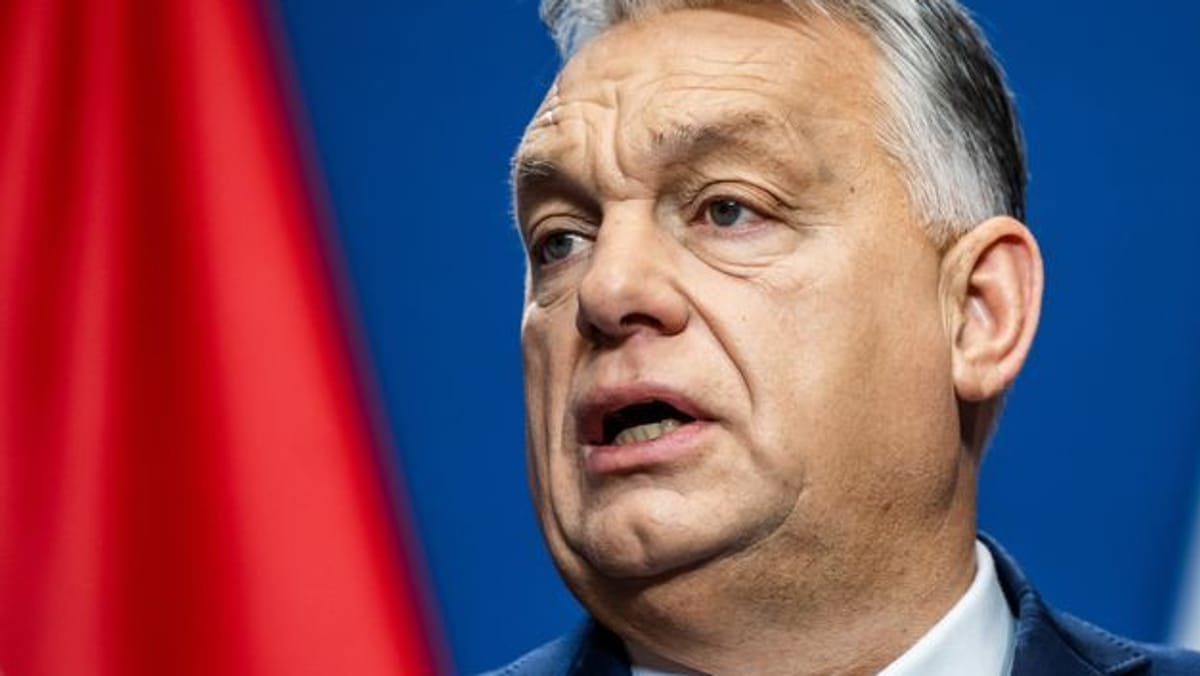Orbán zweifelt an Russlands Stärke – "Zu schwach für Nato"