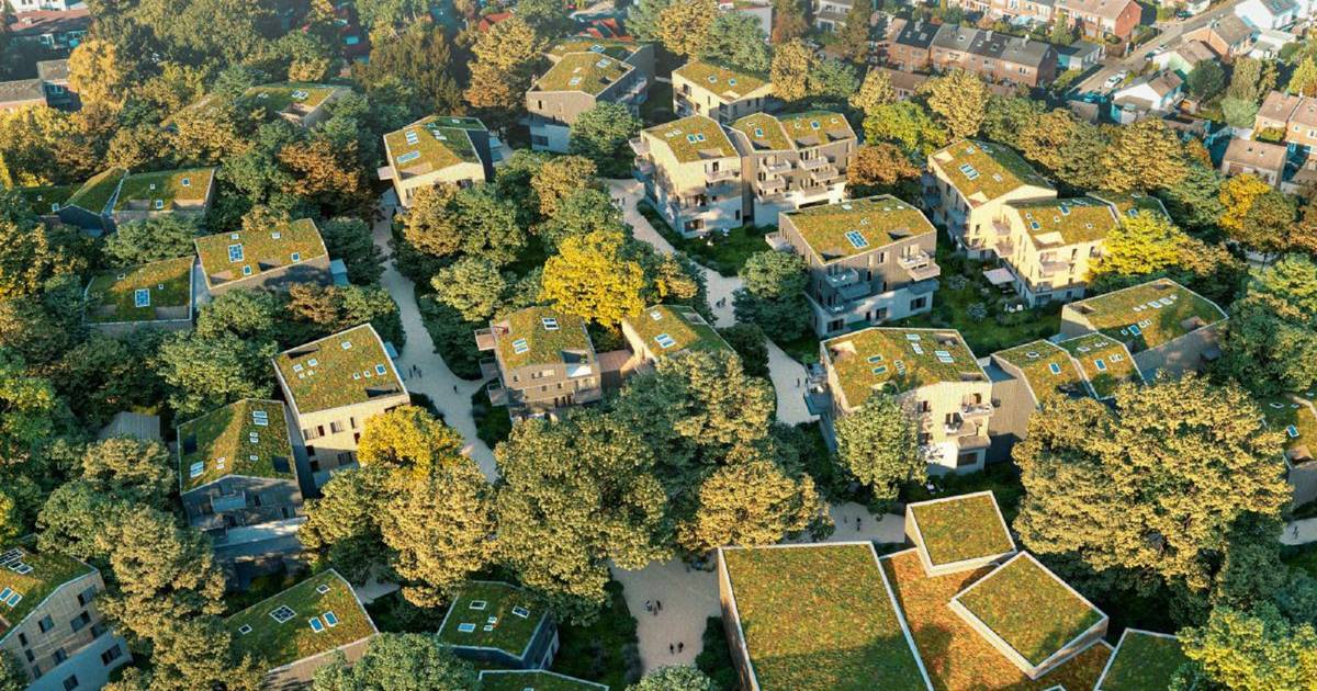 Gegenwind für Planungen von Park Ludenberg/Am Bongard